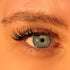 ‘Dolly’ individual lash cluster set