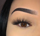 Brandy XL 3D Lash