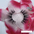 I Am Lovely 3D lash - A’Lei Beauty