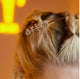 Zodiac hair slides - A’Lei Beauty
