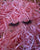 Brandy Lash - A’Lei Beauty